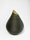 46a129137dba0caaf5613e230bf516c599828029_3D_DU_algae_goud.jpg